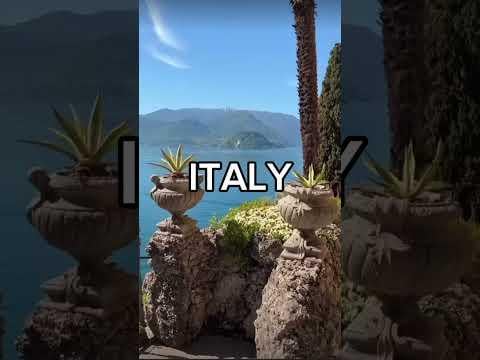 The Crazy Story of Logan Paul’s Pikachu Illustrator PT.1 #pokemon #tcg