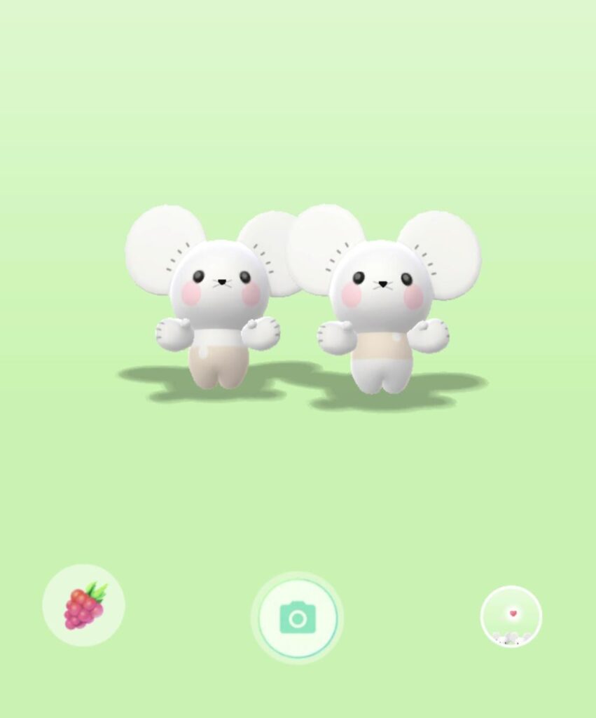 Playing with Tandemaus, makes them blush! ♡