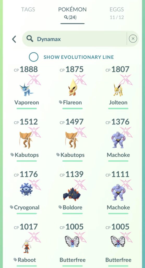 Dynamax pokemon raids