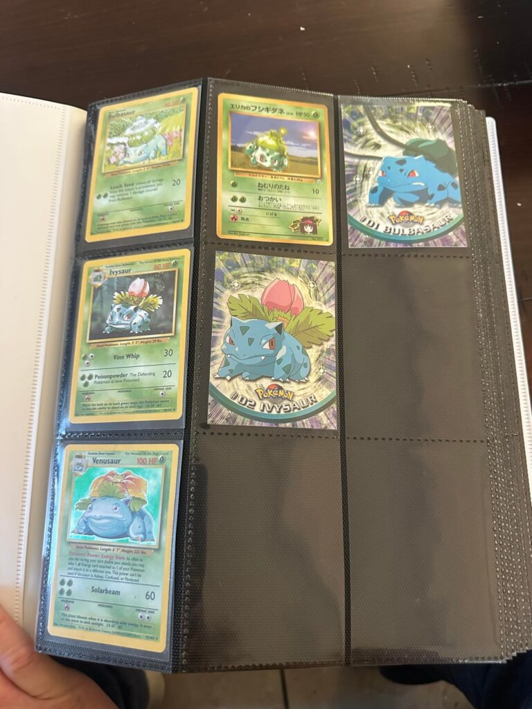 John’s National Dex Binder