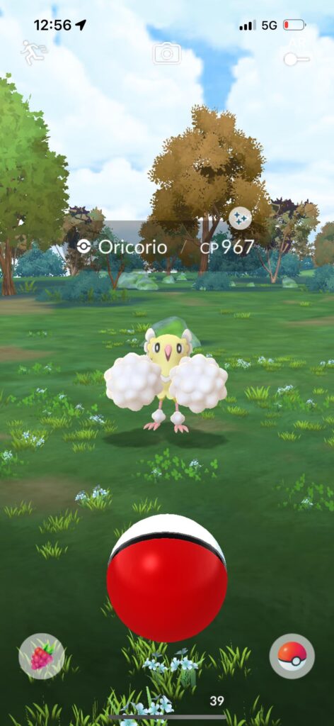 It’s so pretty🤩✨