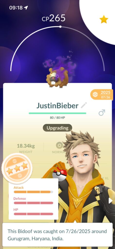 Bidoof the real god Pokemon