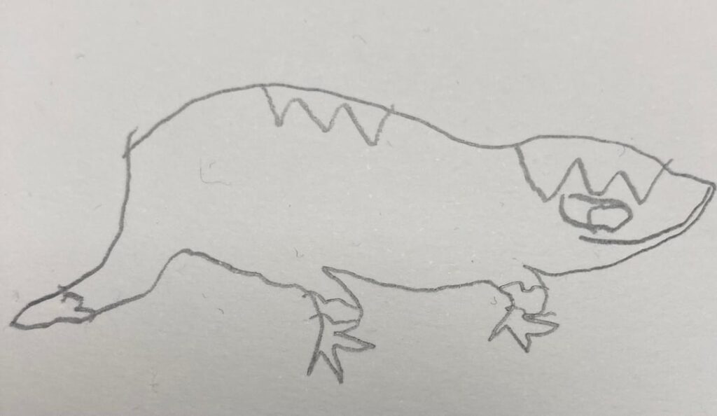 Found my Childhood fakemon book, and found these guys.