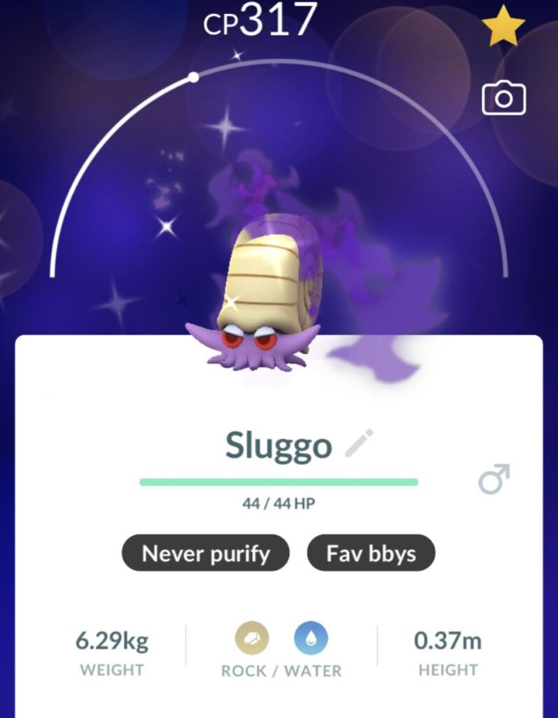 Look at this lil fella 🤩