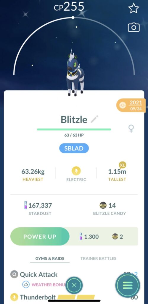Question about blitzle