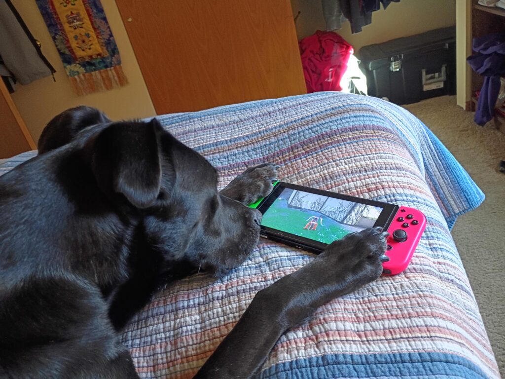 Kona learned how to play Gen 9