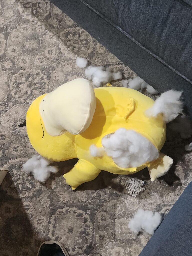 Anyone know a nearby Poke Center?