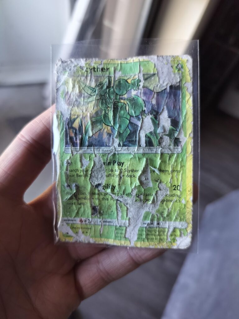 Found on the side of the road.