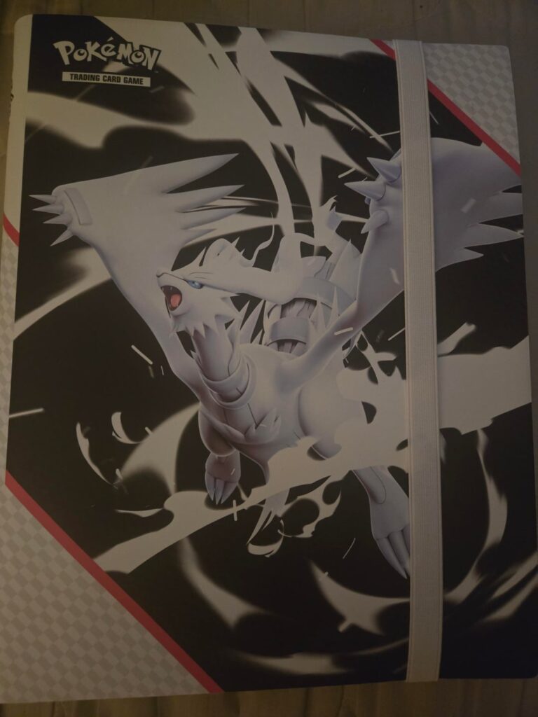 Is this Binder ok for long term storage or what do you guys recommend?