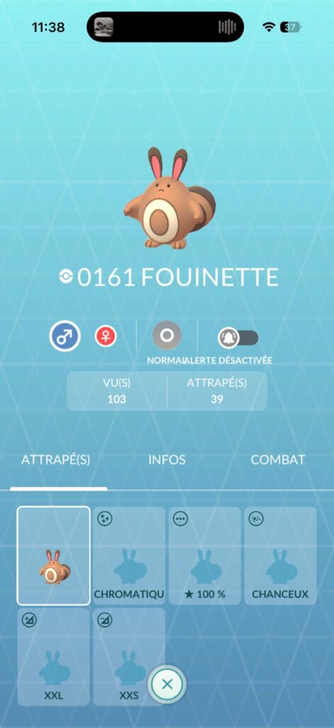 Anybody knows a place where there are nests of this type anywhere ?