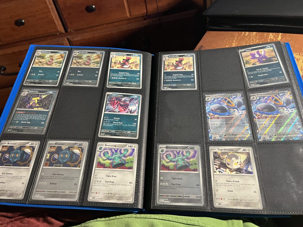 Organizing binder for “master” sets