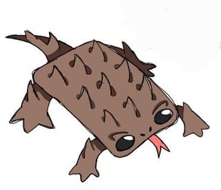 Maltamm and Arnotamm, tim tam inspired thorny lizards