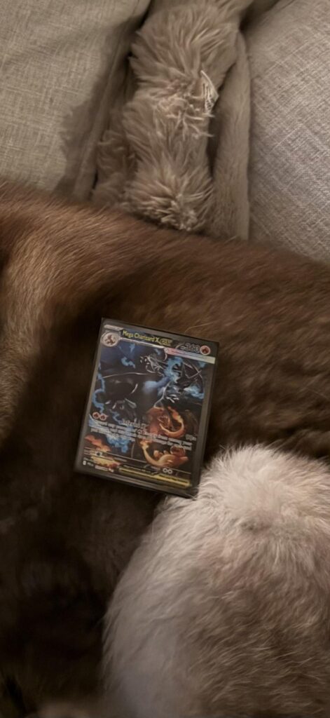 Just pulled this. Guess where it’s going