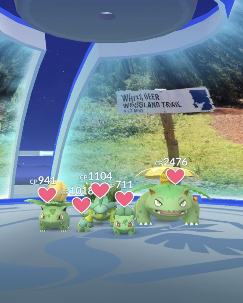 Shiny grass starters