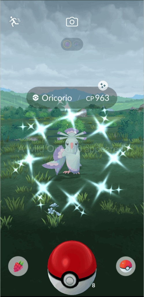 Oricorio event / Saturday