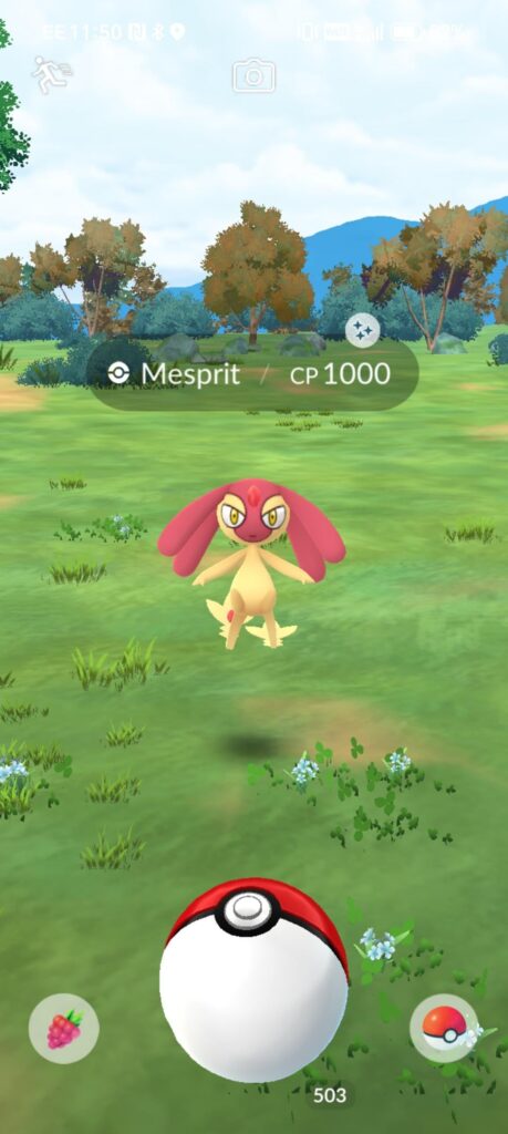 I found this while on a walk today.