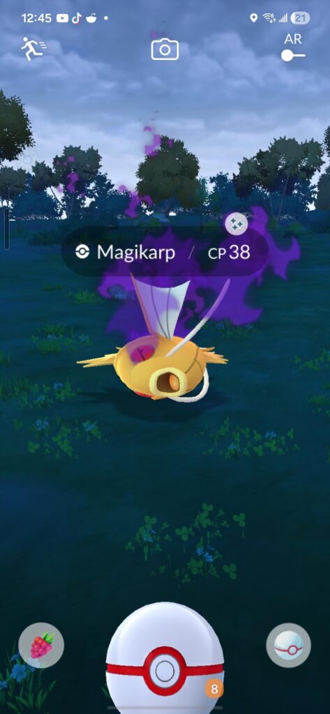 Lost hope in finding a shadow shiny until I found this bad boy