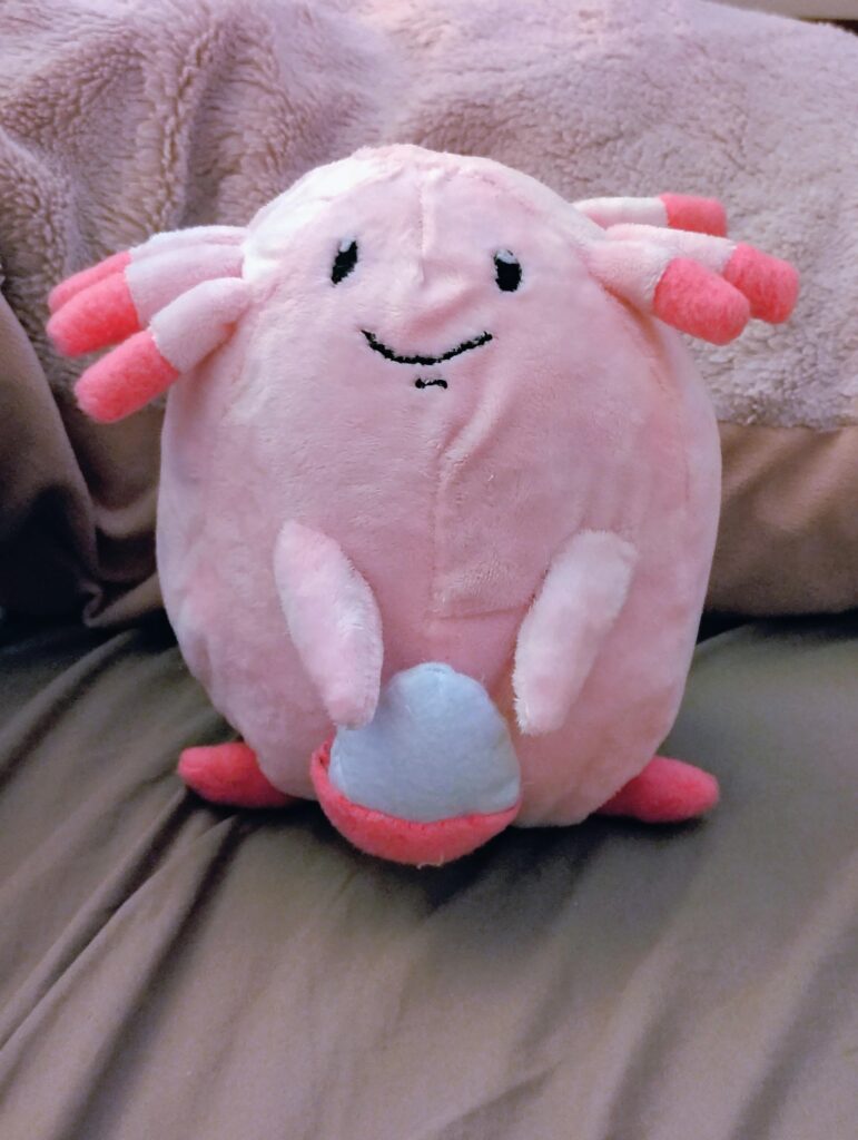 I'm learning to sew plushies, and my first big project was a Chansey!