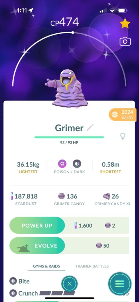 Is this shiny any good?