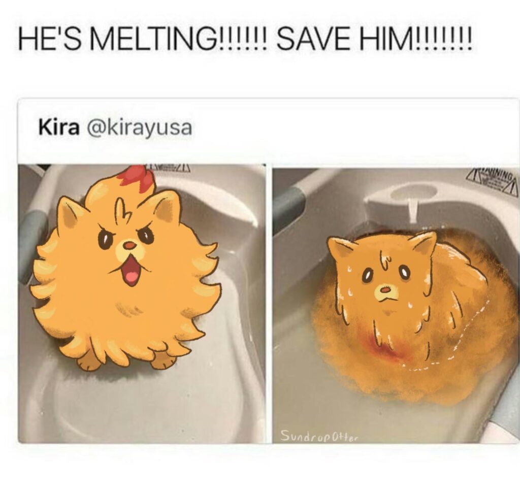 What happens to Pombon in Pokemon Waves