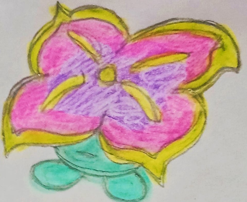 Pokémon Category Jardin Type:Grass/Fairy Budby/Florita/Pixielant