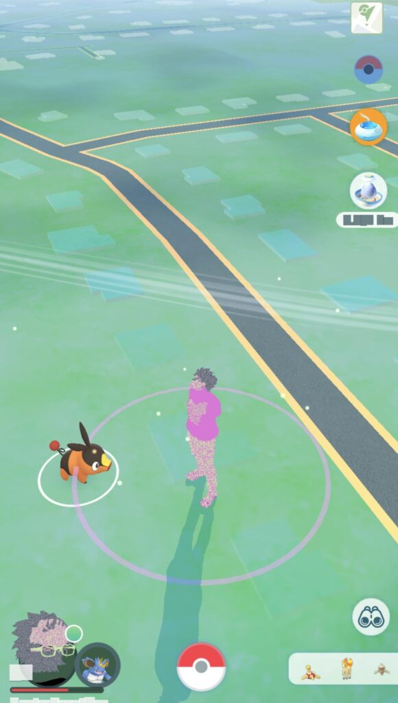 This Tepig is as confused as I am…