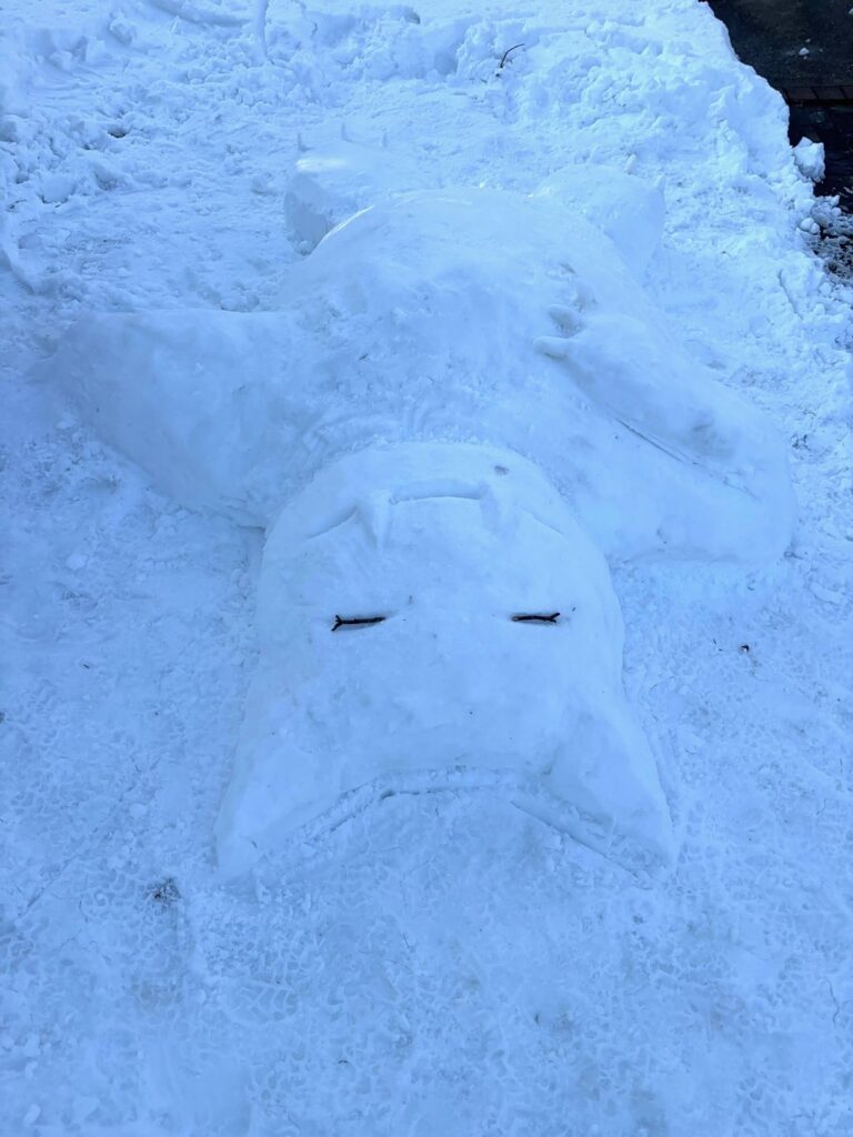 Made a snowlax