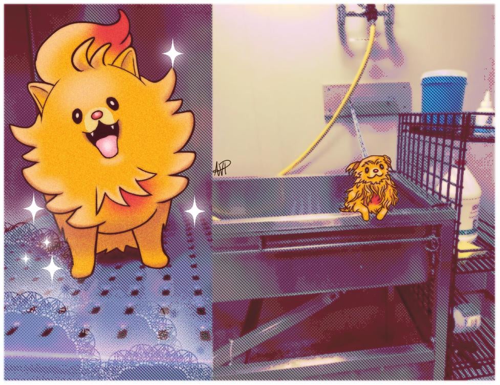 Pombon is precious [OC]