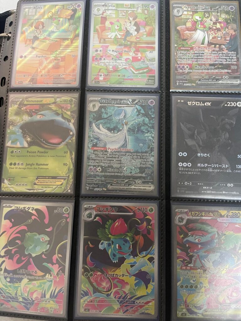 One year in the hobby as a lifelong PLMN fan, rate my binder