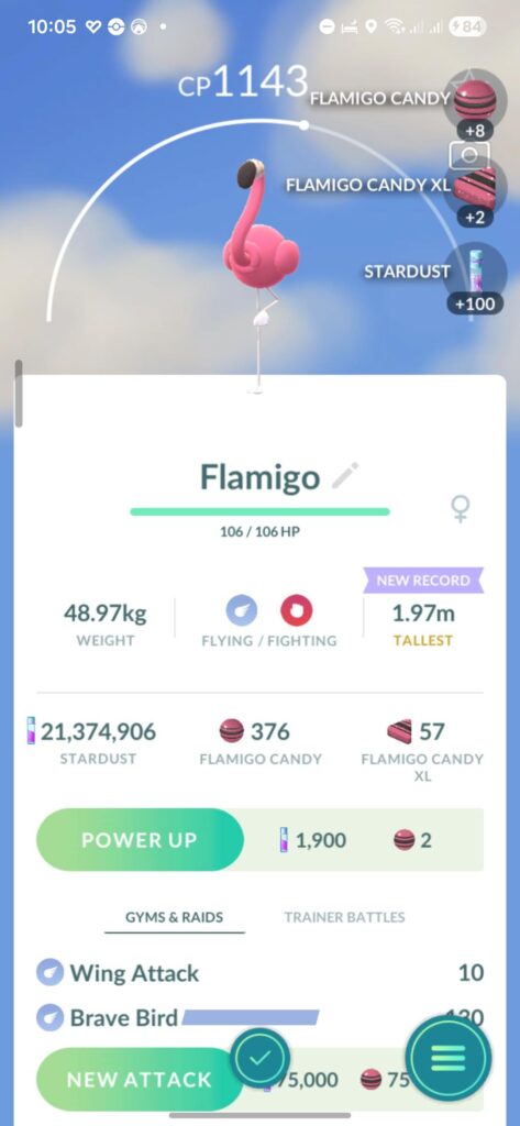 They didn't mess up removing the 500 extra stardust per Flamigo catch after the event