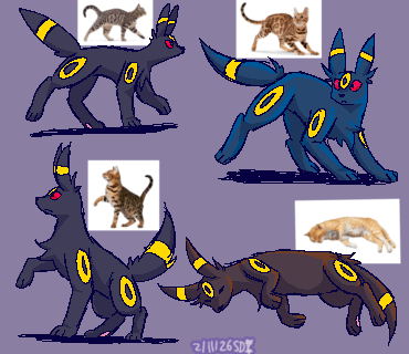 Umbreon cat sketches
