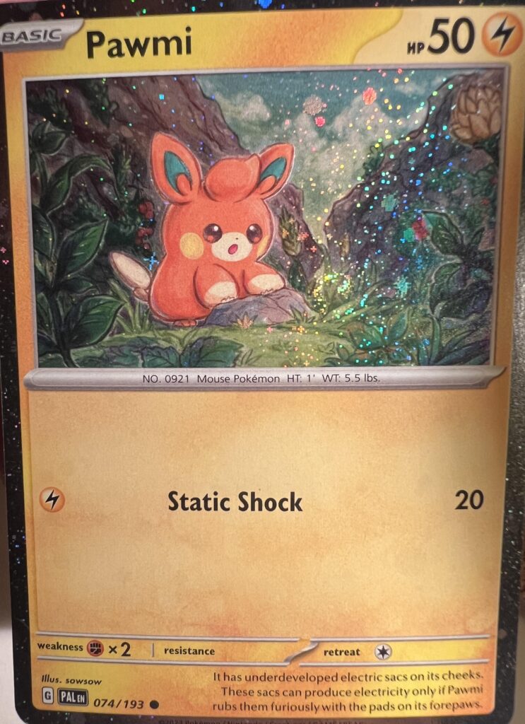 Perfectly Placed Swirl Pawmi