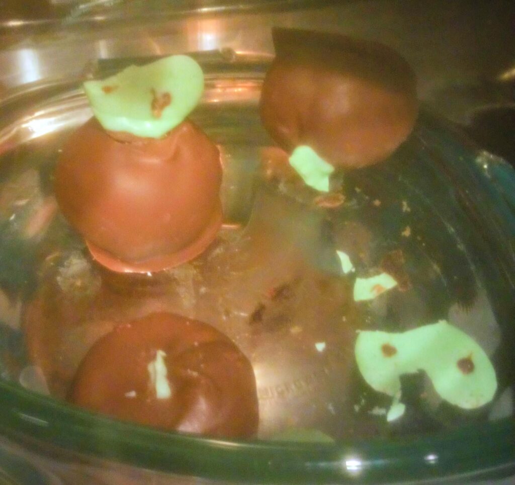 The Applin didn't survive