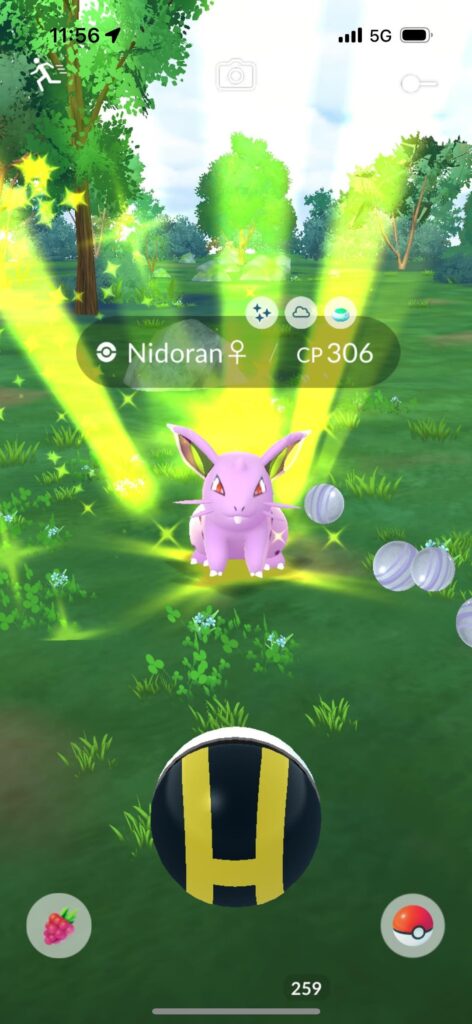 highlights of my walk today