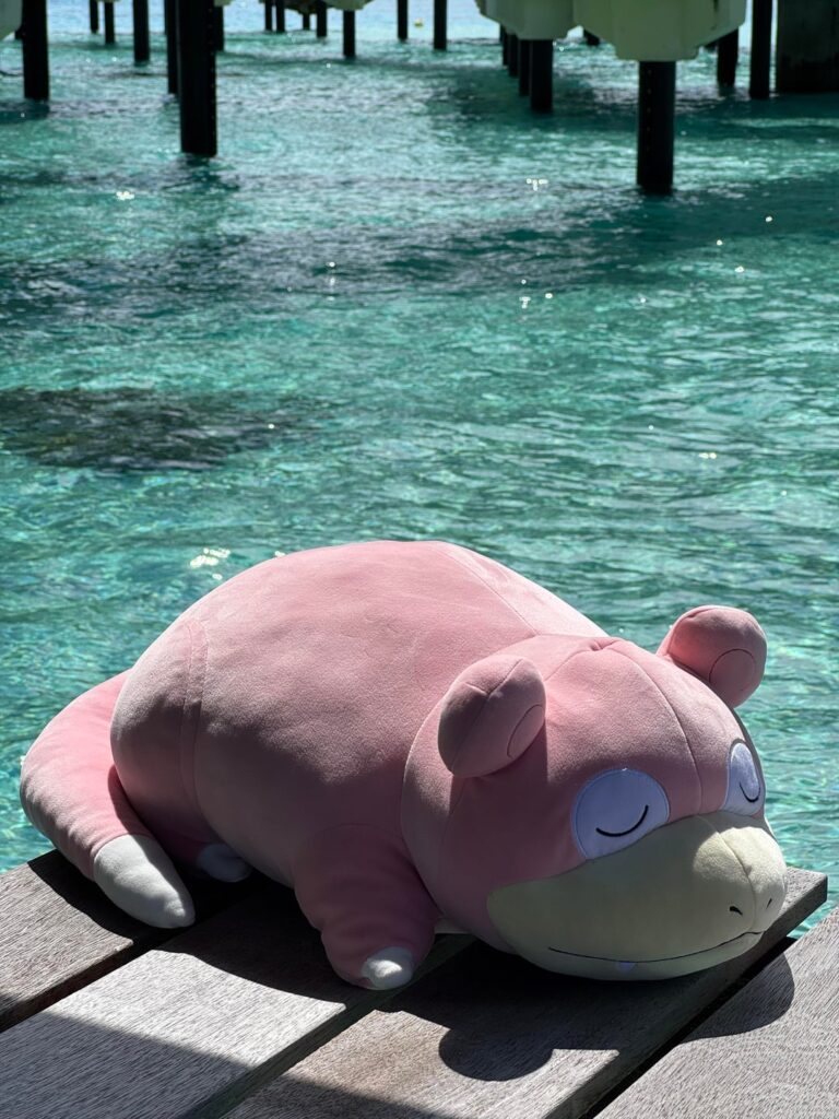 Slowpoke photographed in its natural habitat