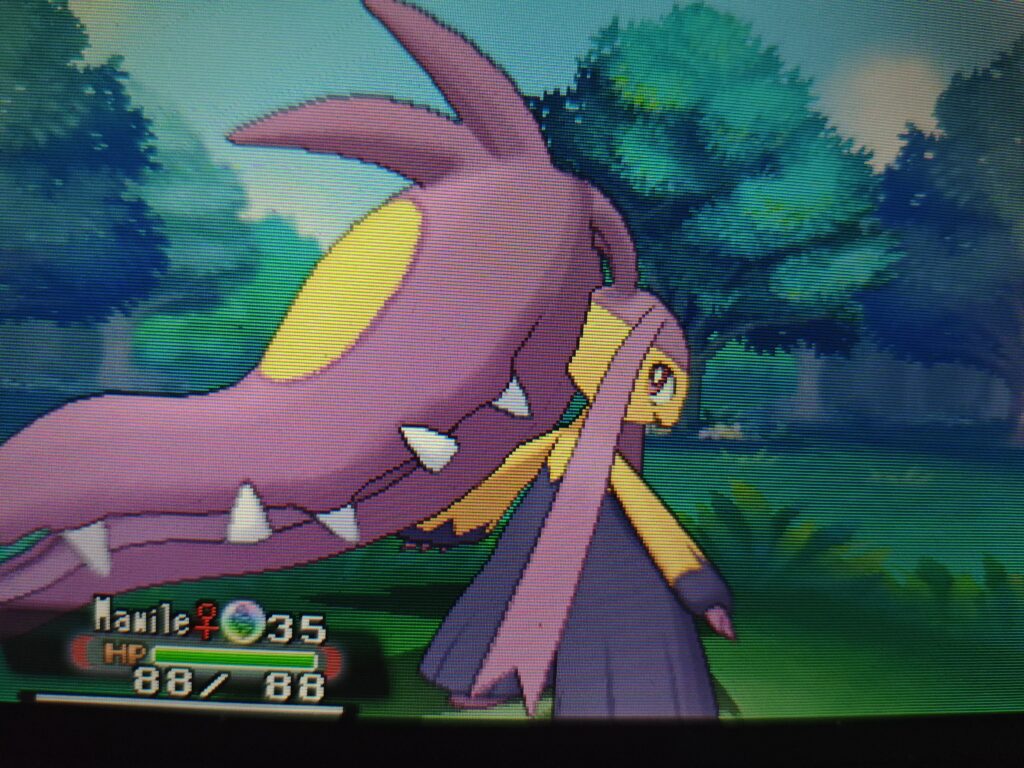 After 11 years of having Omega Ruby, I finally decided to shiny hunt on it (Mawile, 392 encounters)