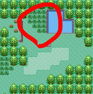 I am convinced you can't find Seedot in this patch of grass in Emerald