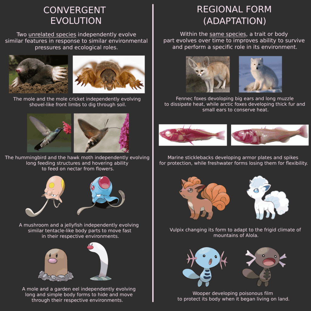 Difference between Convergent Evolution and Regional Form Pokemon