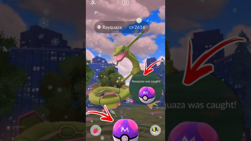 I used Master Ball on Wild Rayquaza  in Pokemon GO.