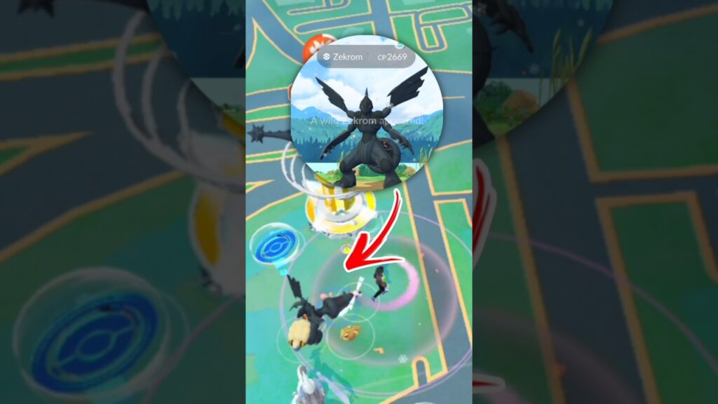 when I caught wild Zekrom from daily Incense in Pokemon GO.