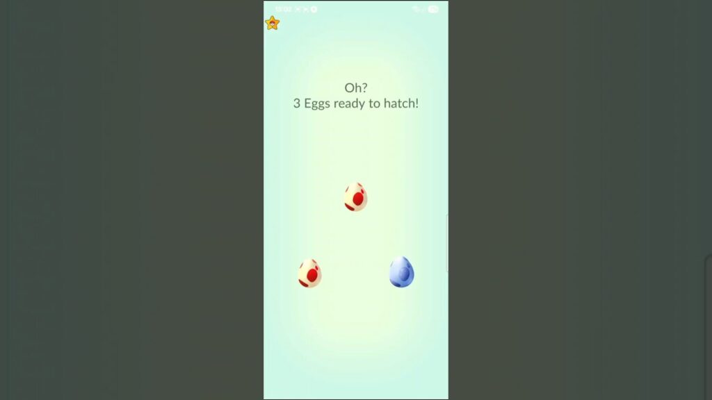 Egg Hatch day too many eggs #pokemon #pokemongo #pokemonegg #pokemonmasters