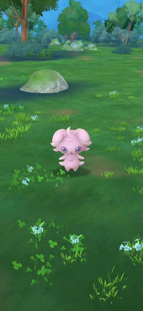 Look what i found this morning.