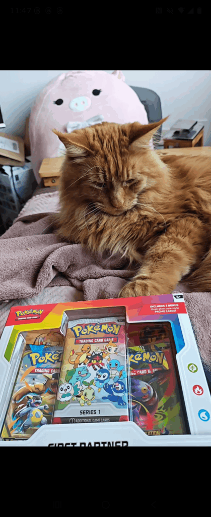 Got my packs blessed by my cat