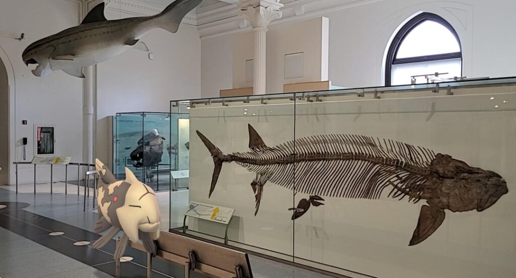 We went to the museum today