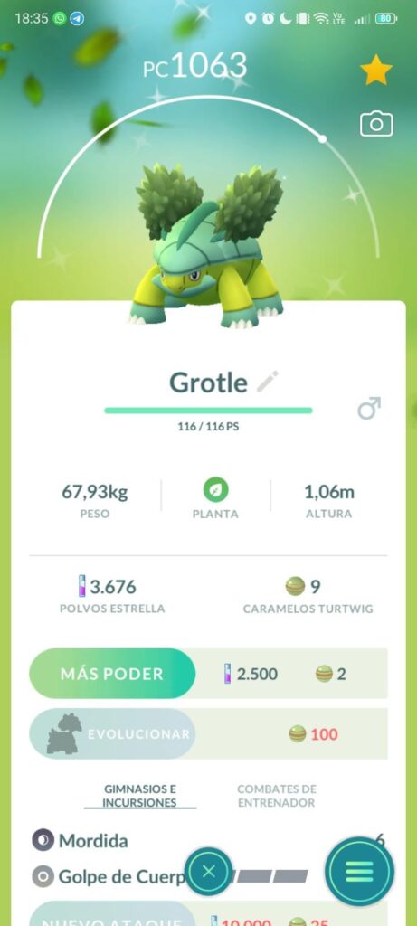 I hatched a shiny from an egg!