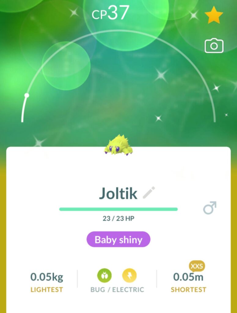 Tiny shiny! Definitely needed this!