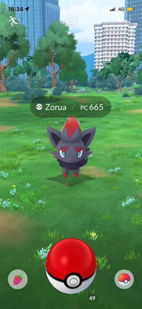 Zorua spawning in the without being disguised ?