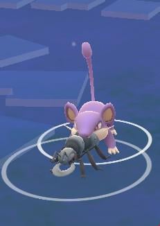 Rattata the werido