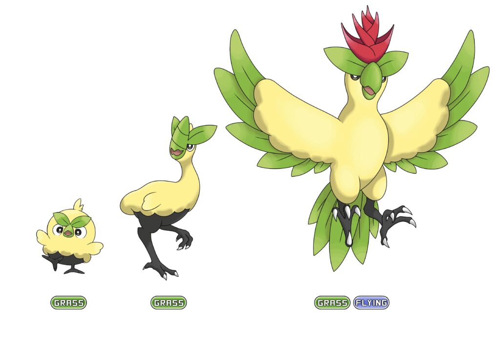 My browt evolution prediction!