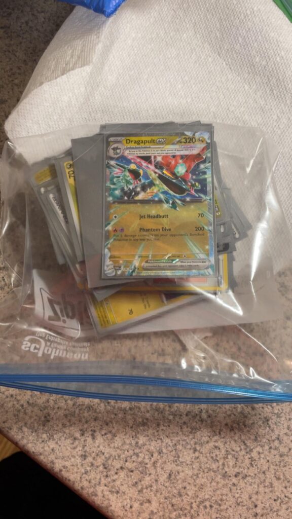 Ex gf’s cat peed on my dragapult